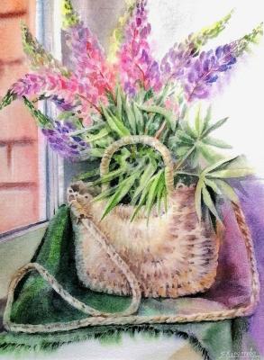 ������� ��������