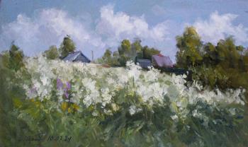 ������� �������� ������