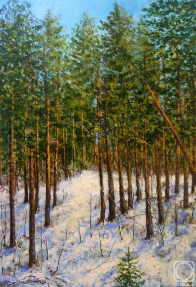 Abaimov Vladimir. In the Winter Forest
