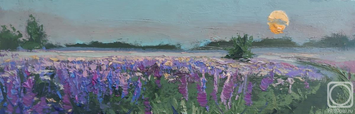 �������. ���������� �������. ��� �� ��������