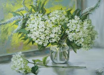 ���������. ��������� �����