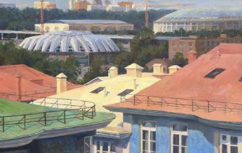 View of the Luzhniki Sports Complex from the observation deck of the Russian Academy of Sciences. Busygina Natalya