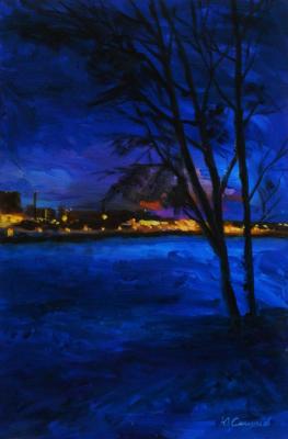 Winter evening on the Meshchersky lake