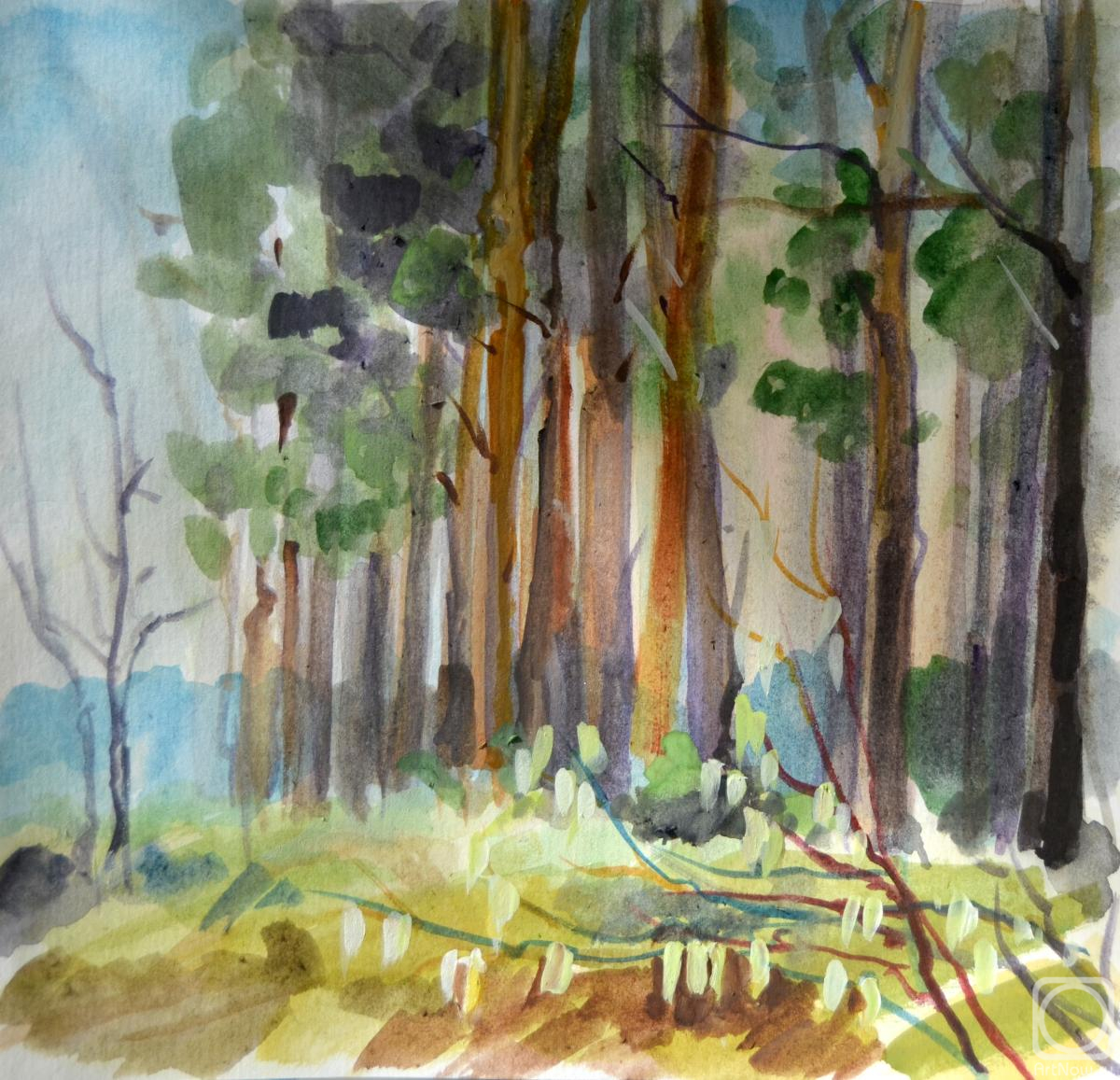 �������. ������� ����. ����� � ��������