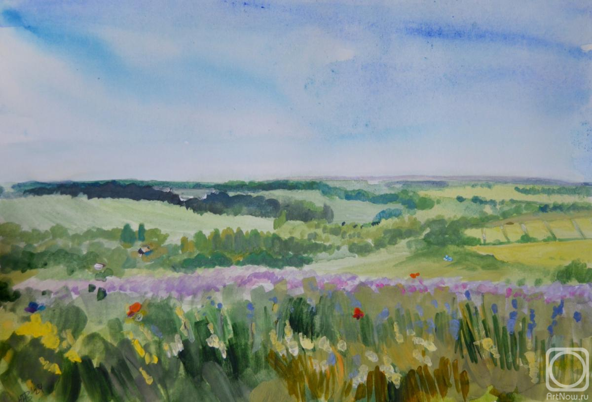 Efimova Ulya. Sitovo. Distances