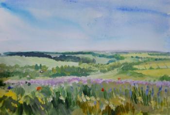 ������. ����. ������� ����