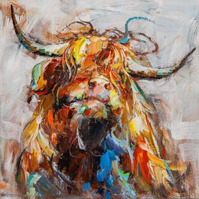 Scottish bull. Rodries Jose