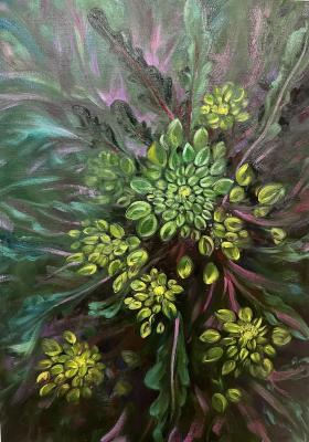 ������� ��� ������� �����