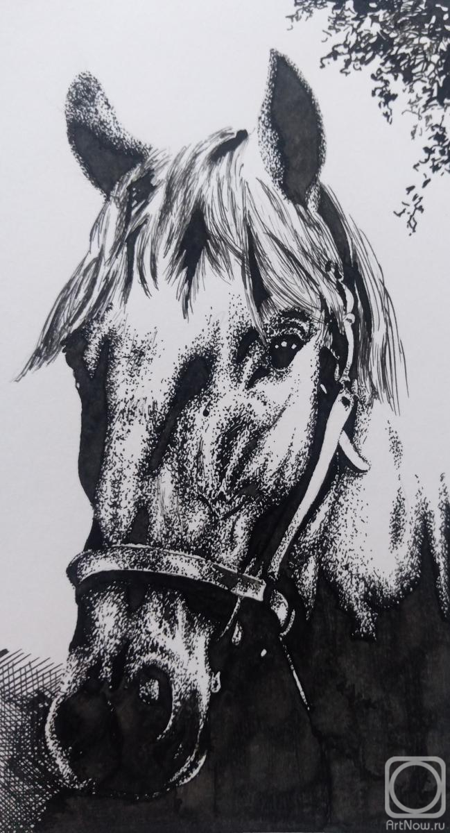 �������. ������� ��������. ����������