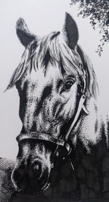 ������� �����������