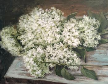 ��������� � ����������. ��������� �����