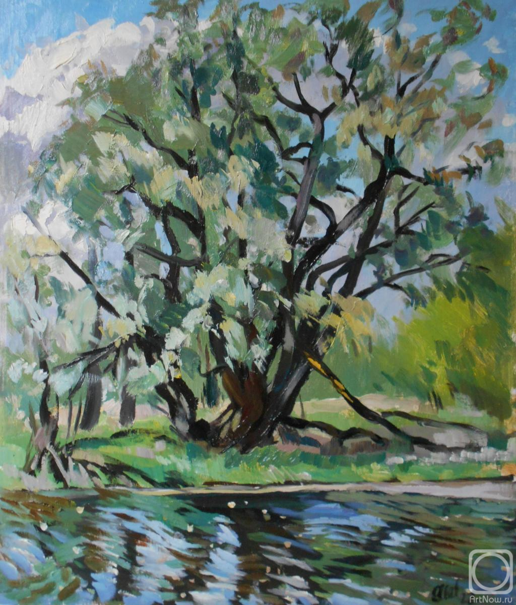 �������. �������� ������. �����. ���