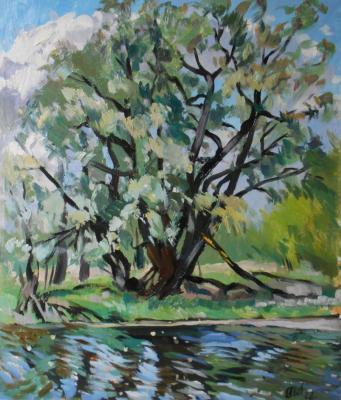 ������� ������. ���