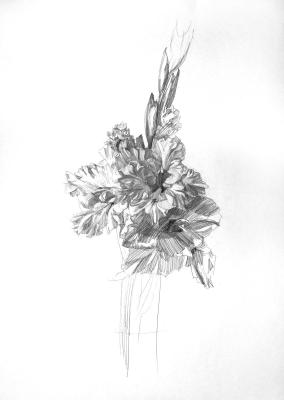 ������. �������� ������