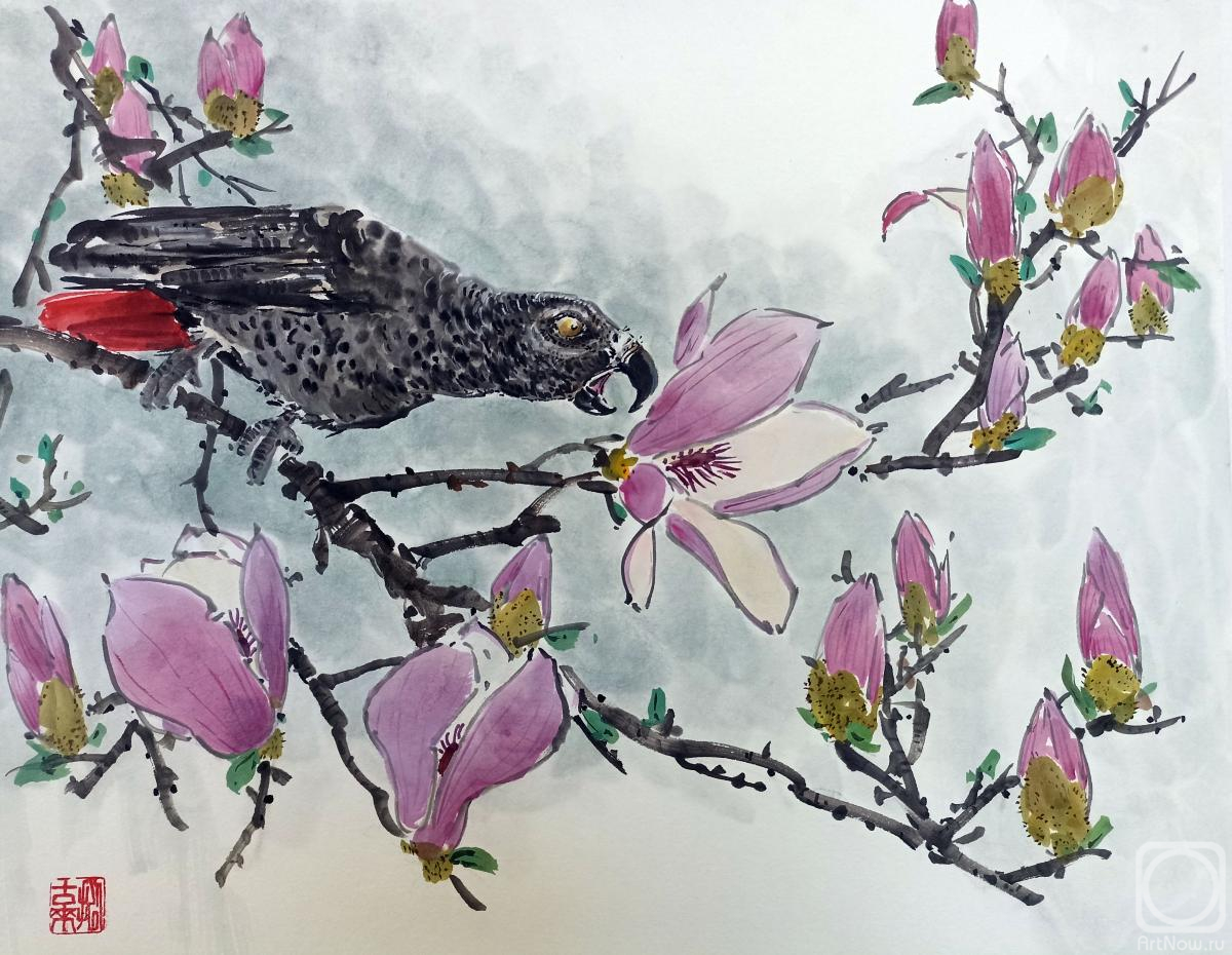 �������. ������� �������. ���� � ��������