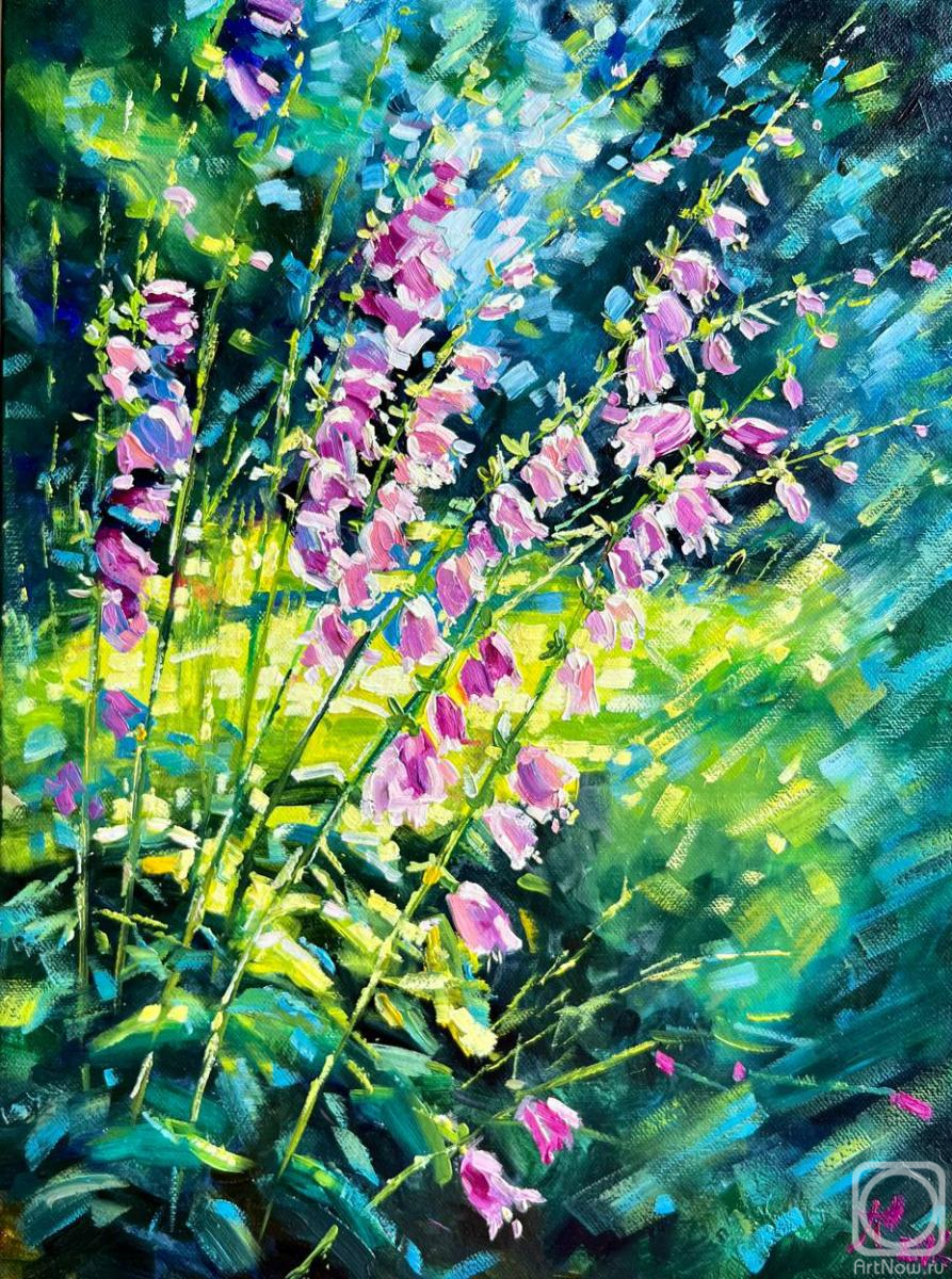 ������� ������ �� ������. ������� ����. ���� � ����