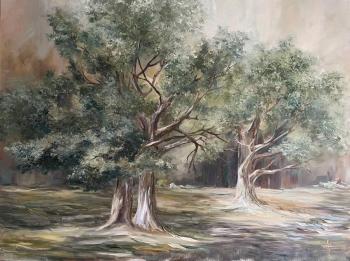 � ������ ����. ��������� ����