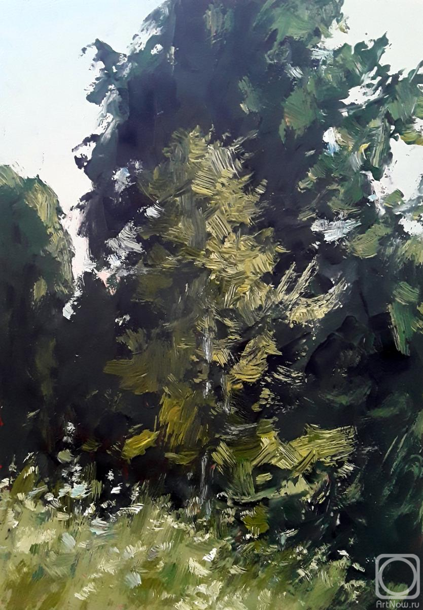 �������. ����� ���������. � ����