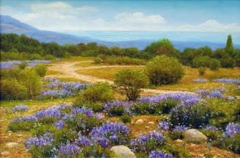 ����. ������ �������. ���������� ��������