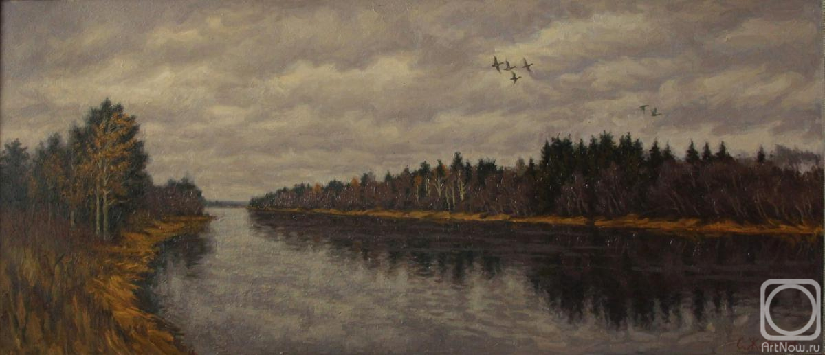 Zhivotkov Sergey. Ducks