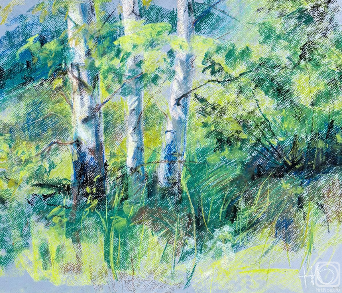 �������. �������� �������. ������ (������� ���, ������)