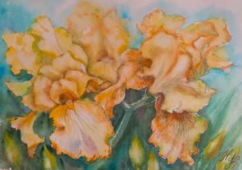 Sunny irises. Kondyurina Natalia