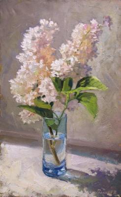 ����� ������ "���������� ���������". �������� �����