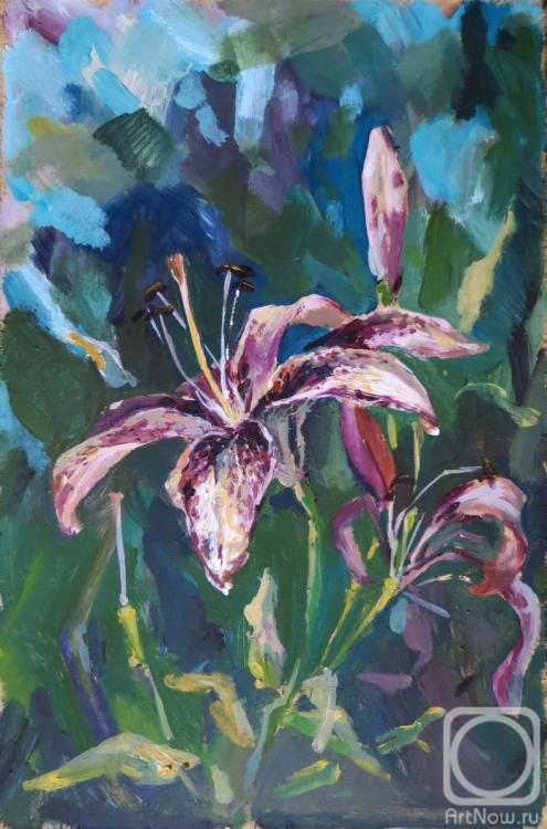 �������. �������� �����. �������