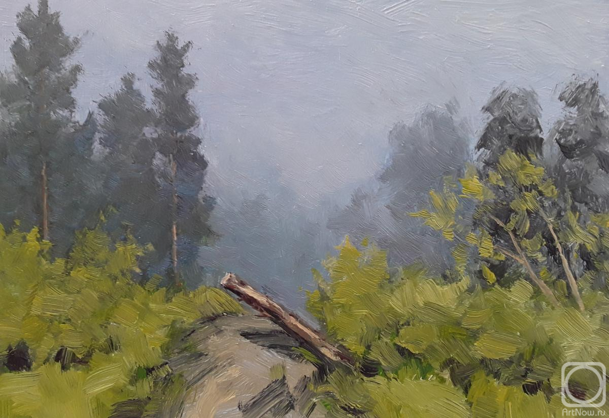 �������. ����� ���������. �������� �����