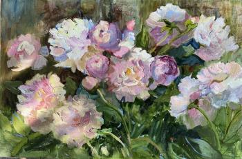 ������� ������ ���� ������