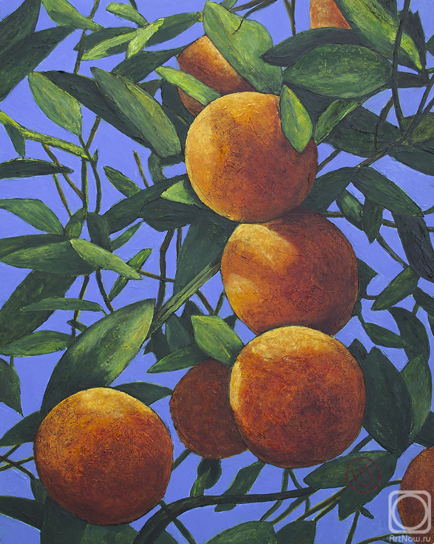 Shah Oxana. Oranges