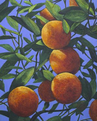 Oranges