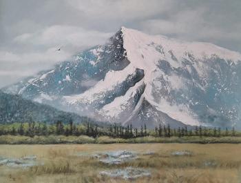 ������ ������. ������� ���������