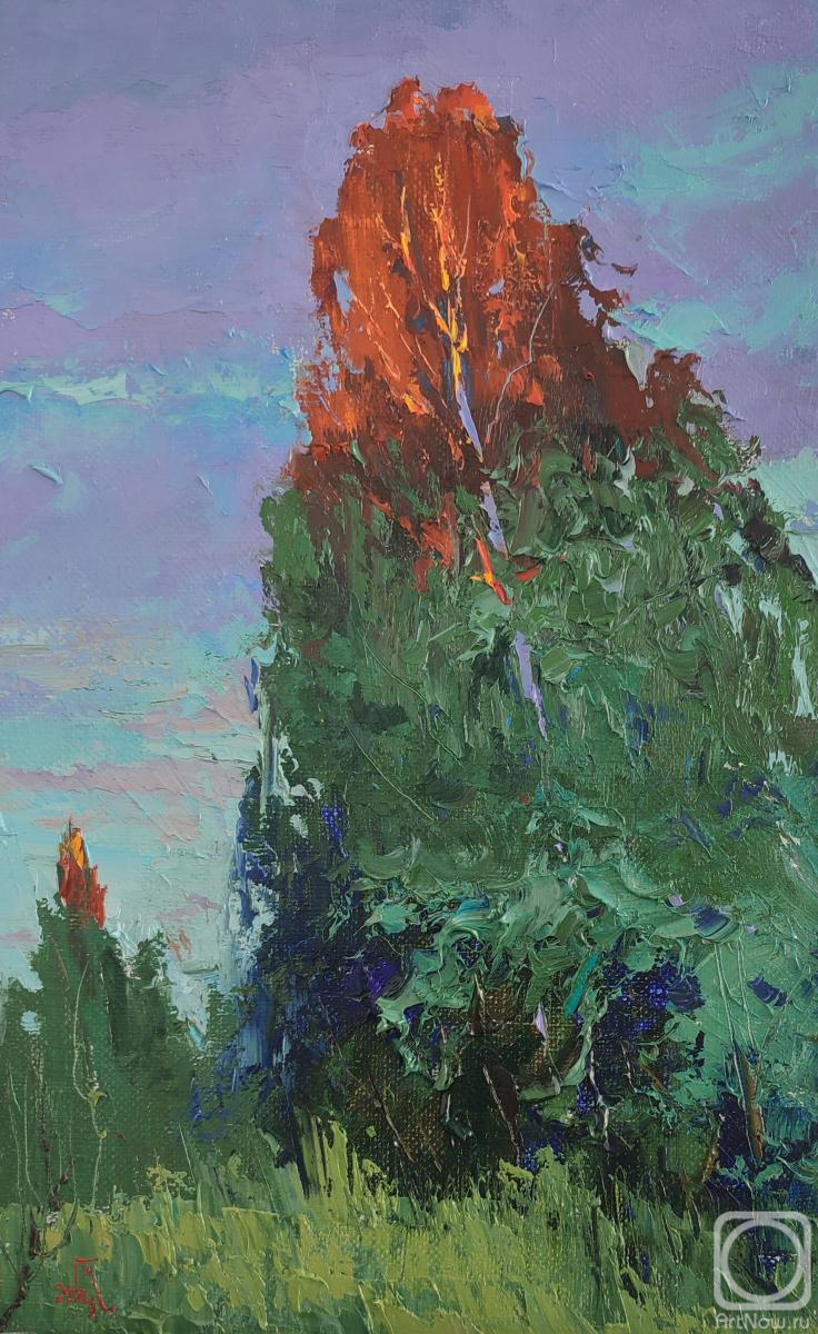 ������� ������ �� ������. ���������� �������. ����� ��������� �����