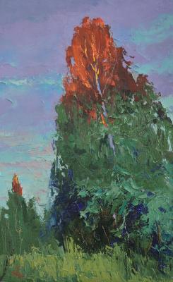 A ray of outgoing heat. Golovchenko Alexey