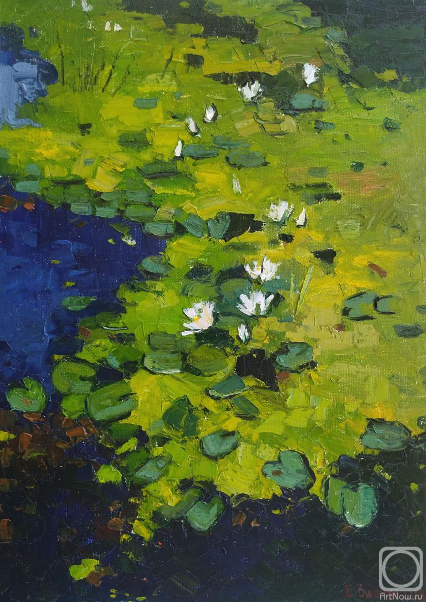 Vilkova Elena. Lilies on the river