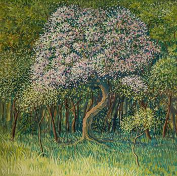 ������� ��������� � ����