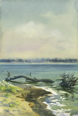 Serpent's lair. Tumak