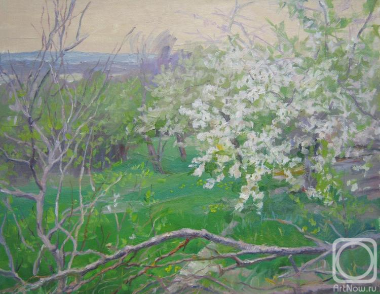 ������� ������ �� ������. ������� ��������. ����� ����� ������