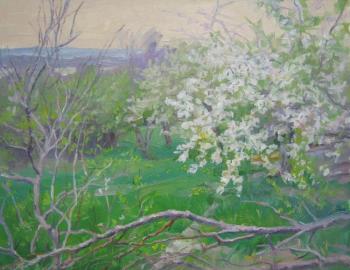 ������� ������ ����� ������