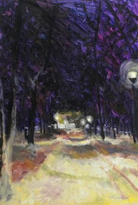 Winter evening in the park