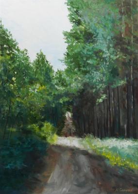 Forest road