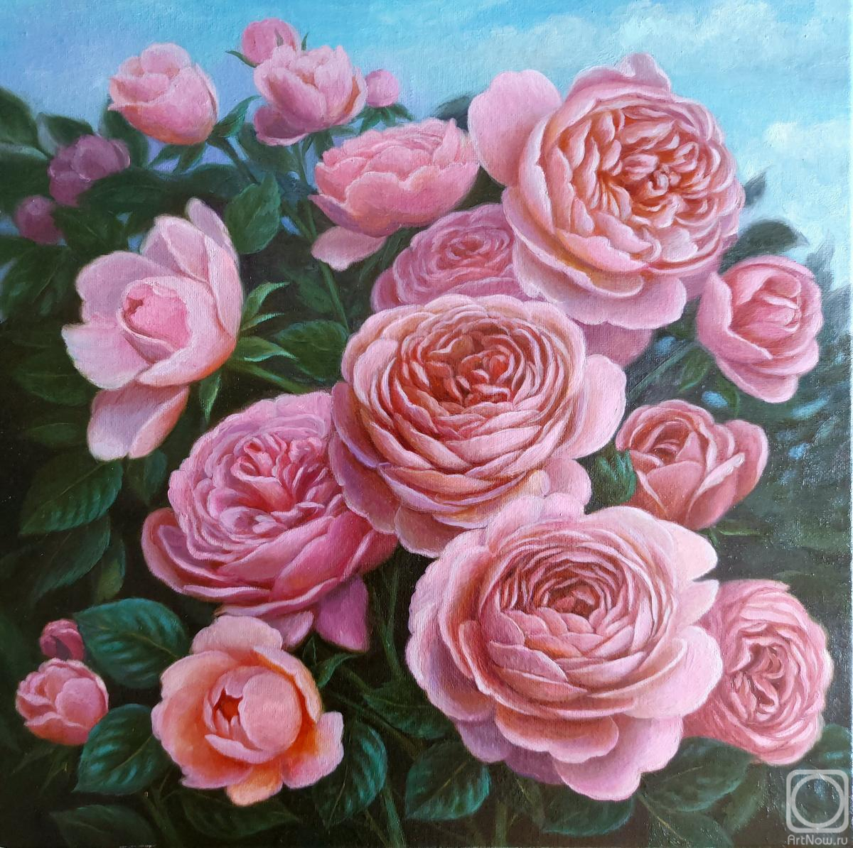 ������� ������ �� ������. ������� ���������. ������ ����