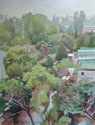 ���� �� ����. ����������� �����