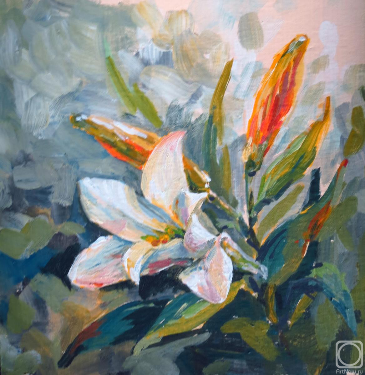 �������. �������� �����. ����