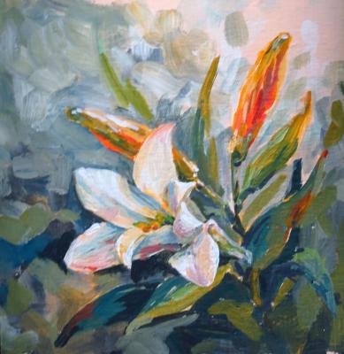 ������� �����