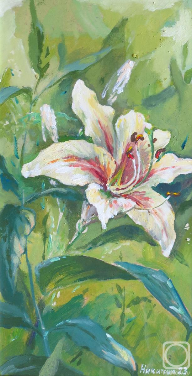 �������. �������� �����. ����� �����