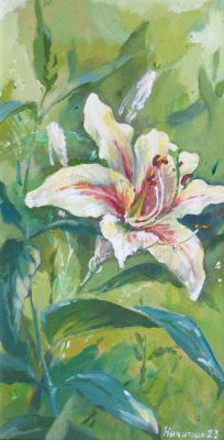 ������� ������ ������