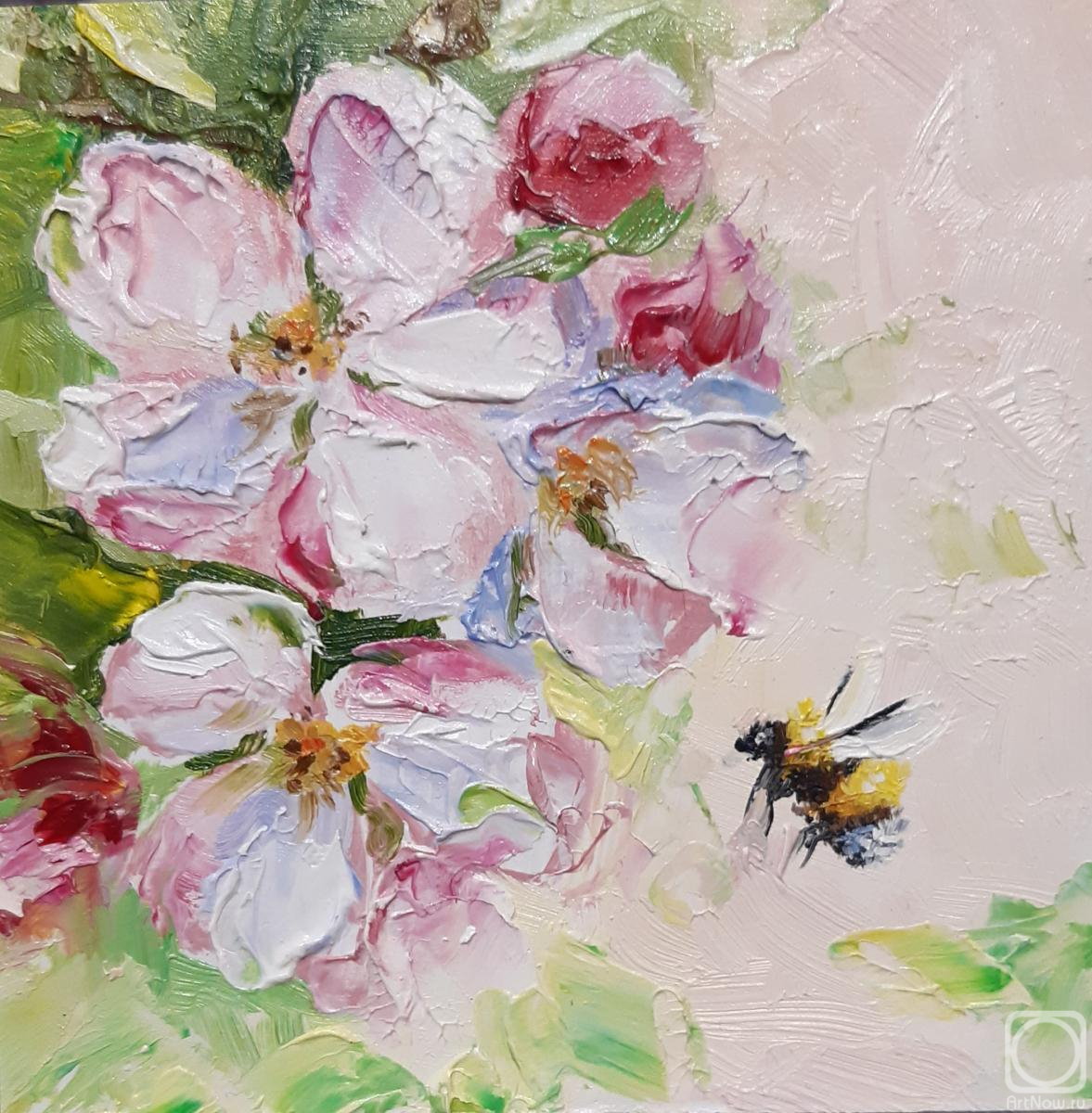 �������. ���������� �����. �������� ������