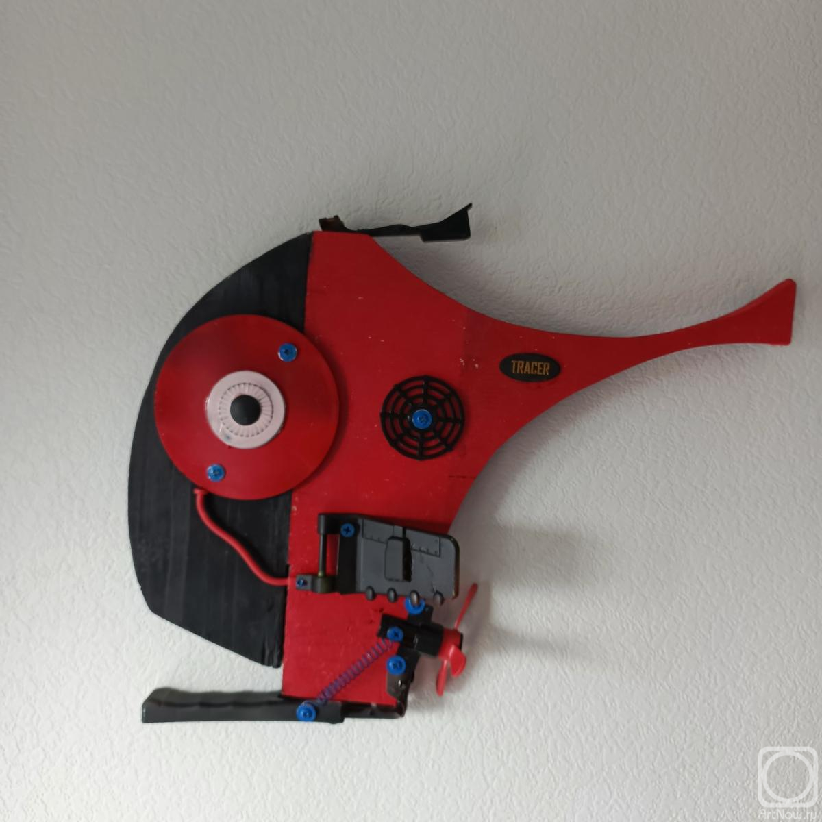 ������ �������. Tracer fish